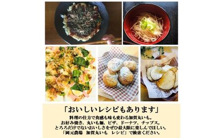 【日本農業賞大賞】加賀丸いもハッピーパック２ｋｇ（３～６個）