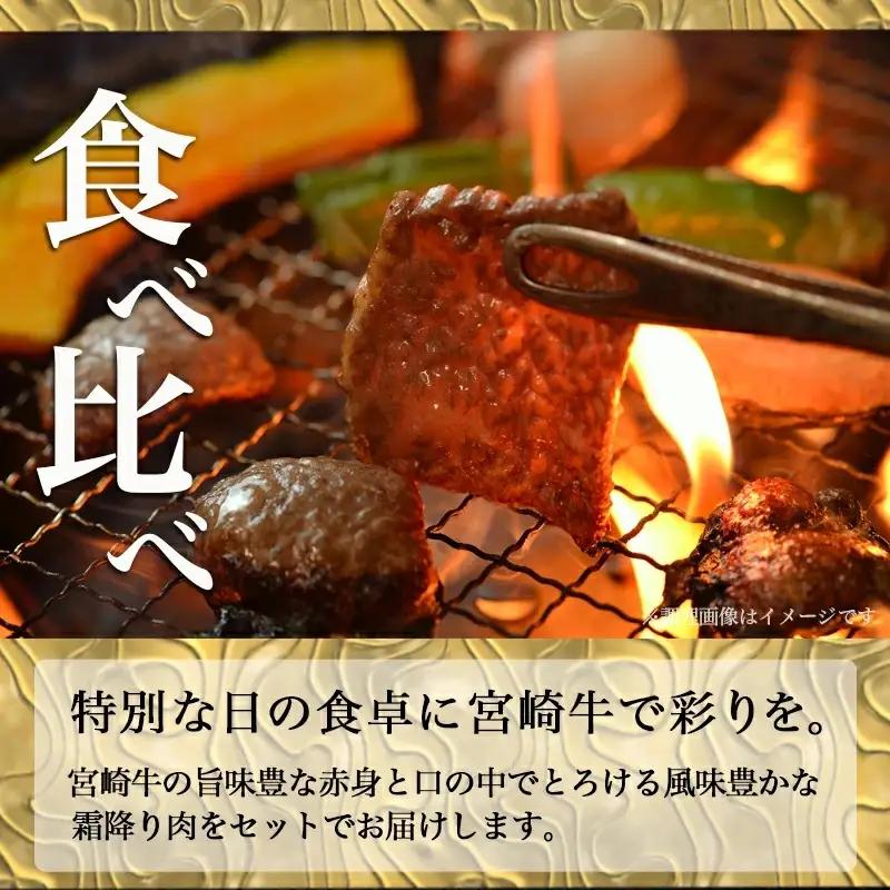 宮崎牛赤身＆霜降り【とろ旨カルビセット】550g〔17-6506〕_(都城市) 牛肉 牛もも焼肉用(300g×1パック) 牛肩ロース焼肉用(250g×1パック) 合計550グラム 赤身肉 霜降り肉 ギ
