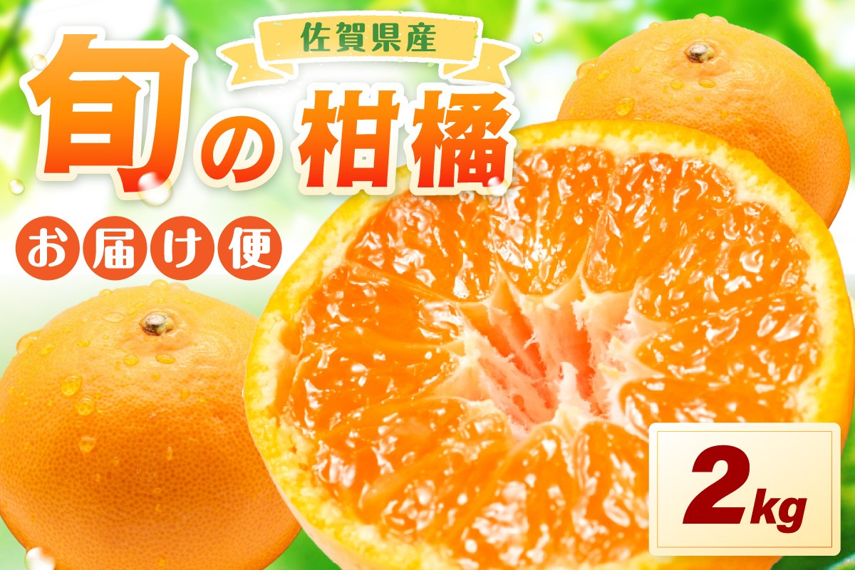 
                  佐賀の旬の柑橘をお届け 佐賀産かんきつ2kg 147-B1209
                