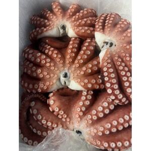 塩もみタコ【配送不可地域：離島】【1694609】