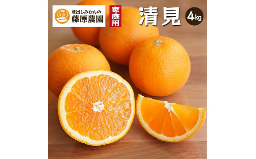 
                  清見オレンジ（みかん）4kg 家庭用 ｜和歌山県海南市下津町で育てた和製オレンジを産地直送でお届け【2027年3月～発送予定】
                