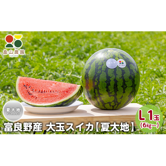 【2026夏発送】富良野産 大玉 スイカ L（6kg～）1玉【夏大地】北海道 ふらの すいか 西瓜 夏 フルーツ ふらの 甘い 糖度 大きい 大だま (畠山農園）