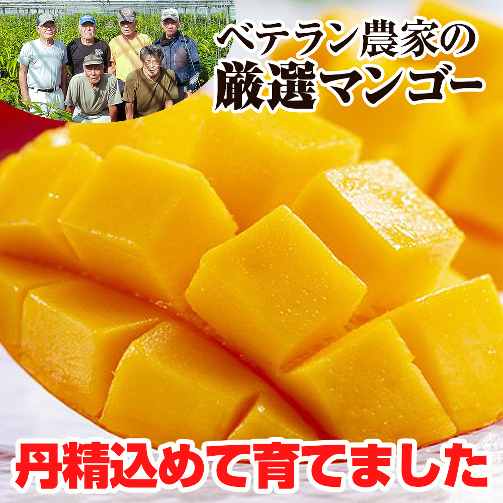 【2025年発送】生産組合が育てる南風原の味　神里マンゴー1kg_イメージ3