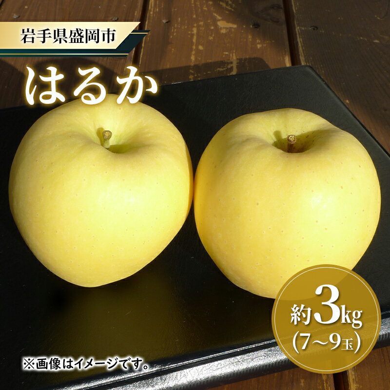 【ふるさと納税】【大櫻農園】はるか 盛岡 完熟 りんご 約3kg（7～9玉） 　お届け：2025年12月中旬～2026年1月中旬
