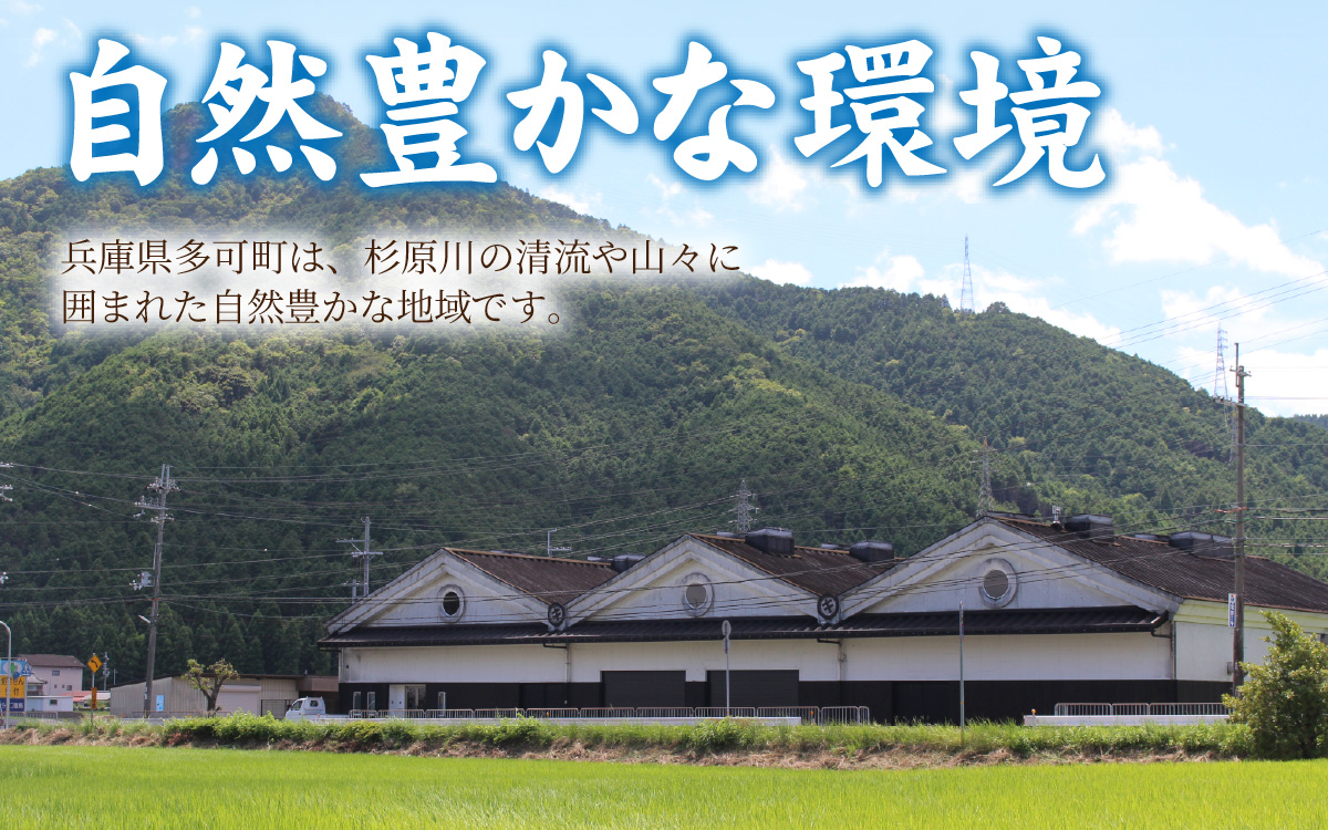 国産丸大豆 濃口醤油 2本セット