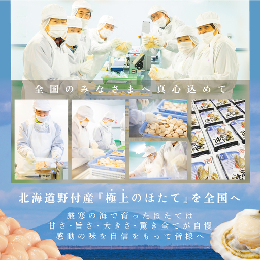 特大LL～Lサイズを厳選！大粒ほたて貝柱 500kg！(約12玉前後)（ ほたて ホタテ 帆立 貝柱 北海道 人気 ふるさと納税 ）