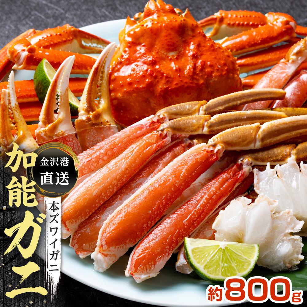 【ふるさと納税】【予約受付】金沢港より直送！ボイル加能ガニ (大) | 石川 金沢 加賀百万石 加賀 百万石 北陸 北陸復興 北陸支援