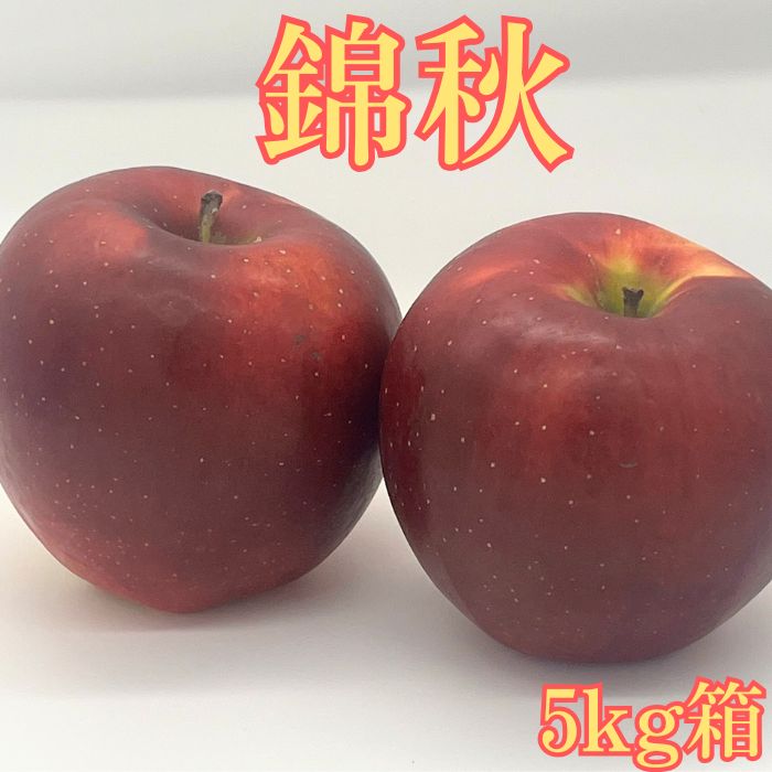 錦秋(きんしゅう) 5kg箱 ＜9月下旬より発送＞ 長野県 南信州 高森町 りんご