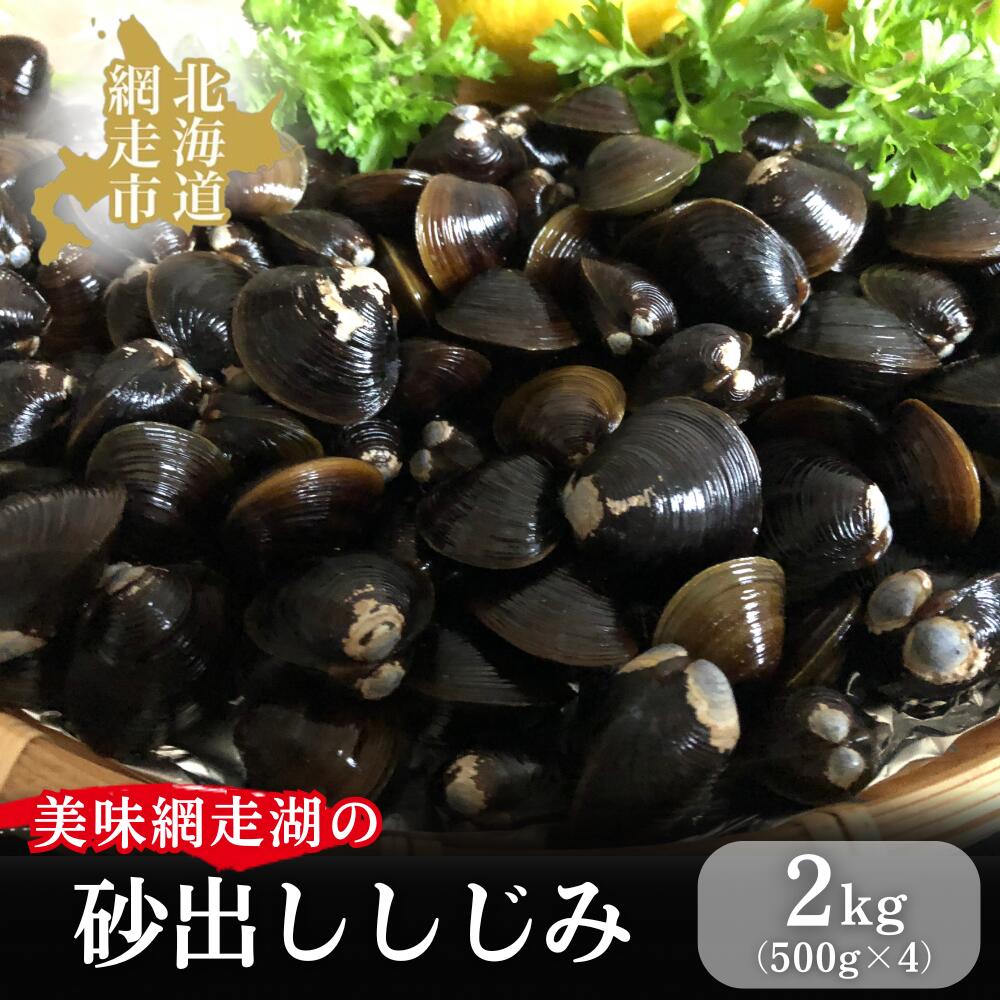 【ふるさと納税】美味網走湖の砂出ししじみ【2kg】 | ふるさと納税 人気 おすすめ ランキング しじみ シジミ 蜆 しじみ貝 シジミ貝 貝シジミ汁 しじみ汁 貝 砂抜き 砂出し 冷凍 2kg 網走湖 網走湖産 オホーツク 北海道 網走市 送料無料 | ABAO2197