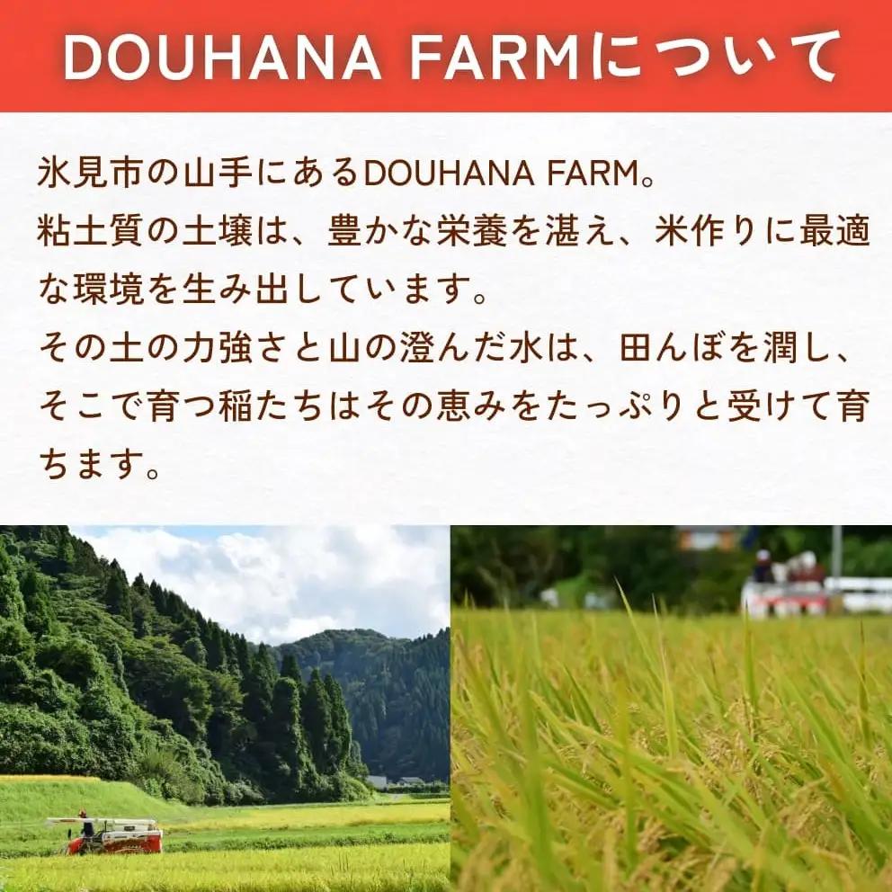 米 令和7年産 富山県氷見産 コシヒカリ 白米 5kg