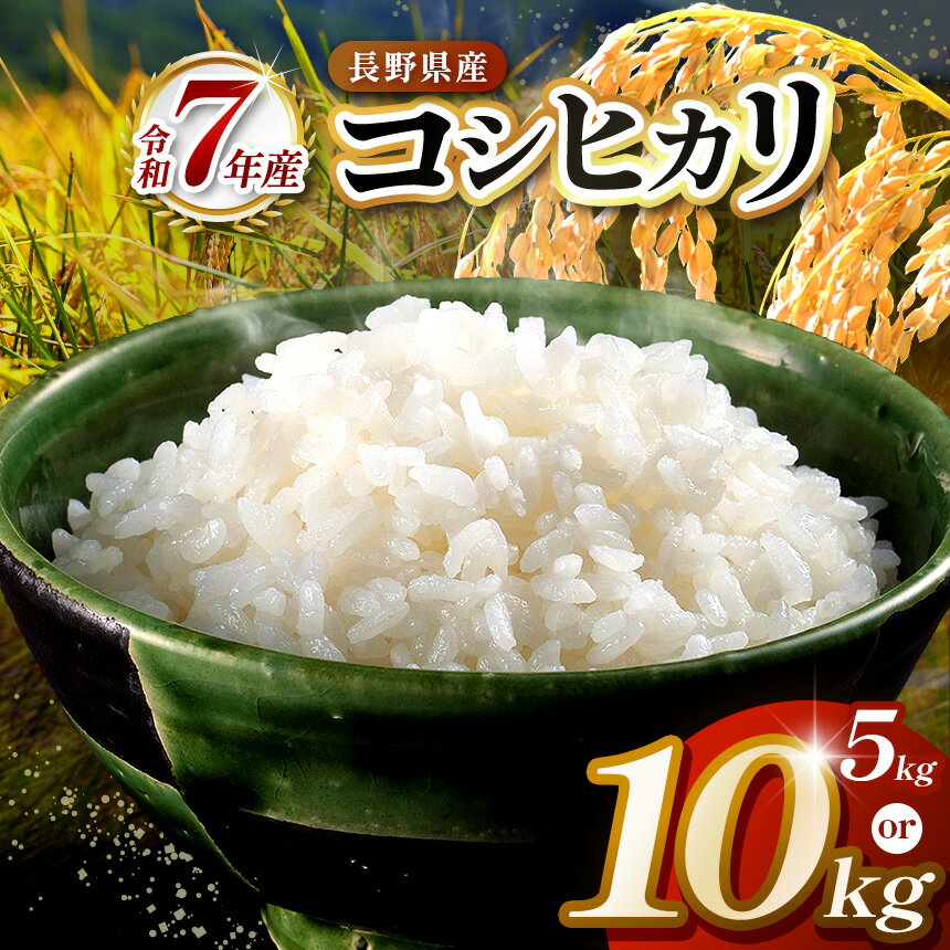 【ふるさと納税】【選べる】令和7年度　伊那市田原産米　コシヒカリ　5キロ or 10キロ 【014-50】【027-17】｜ 米 コシヒカリ 田原産 お米 伊那 伊那産 長野県 ふるさと納税