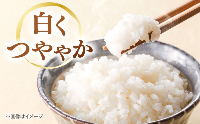 白米 こめ コウノトリやすらぎ米 新米 定期便 ごはん お弁当 国産 おいしい 