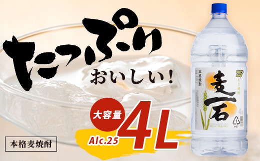 本格麦焼酎【麦一石】4L エコペット 25度 麦焼酎 蔵元直送 4000ml 酒 焼酎 本格焼酎 大容量 熊本 球磨 球磨焼酎 多良木町 040-0586
