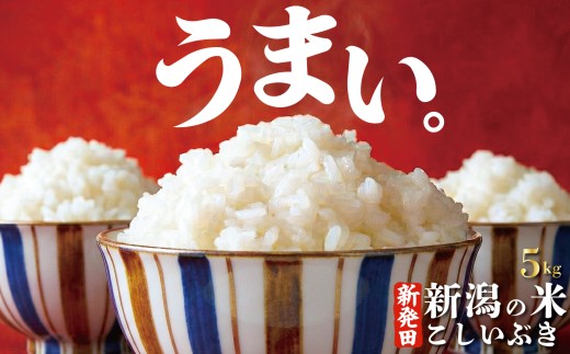 【令和8年産先行予約】こしいぶき 5kg コシヒカリ こしひかり 遺伝子を引き継ぐ ご飯 備蓄 コメ お米 米 こめ 新潟産 新潟米 新潟県 新潟 新発田 新発田市 国産 新発田市産 斗伸 toushin061_01