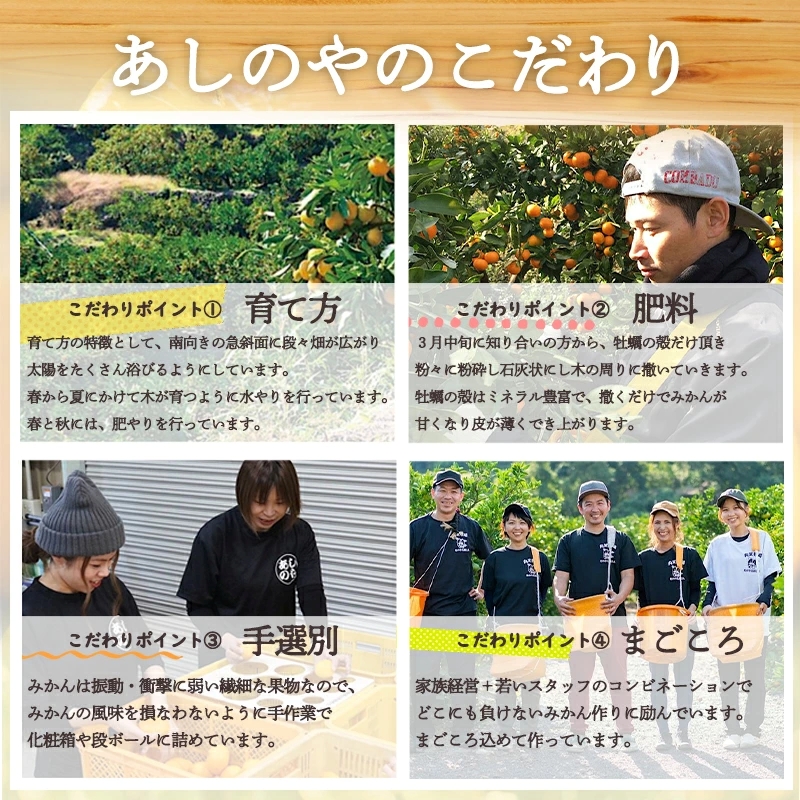 ZE6492_和歌山 湯浅町産 田村みかん 約10kg【Sサイズ】