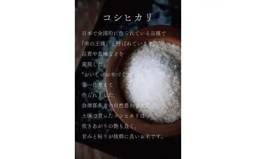 コシヒカリ　5kg×２袋　計10kg　令和7年産　会津　喜多方産【07208-0272】