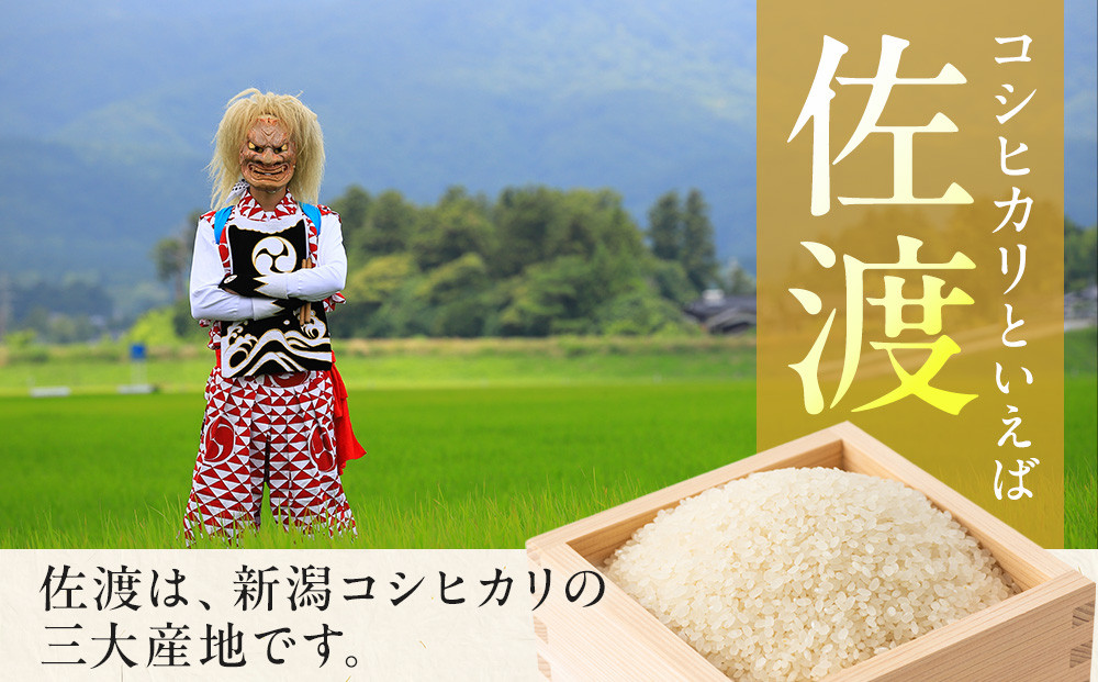 【佐渡島が誇る極上コシヒカリ】無洗米 佐渡産コシヒカリ 10kg（5kg×2袋）