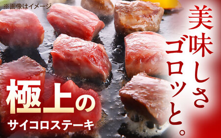 佐賀牛 サイコロステーキ 1kg（500g×2p） /MKミート武雄[UEM028]