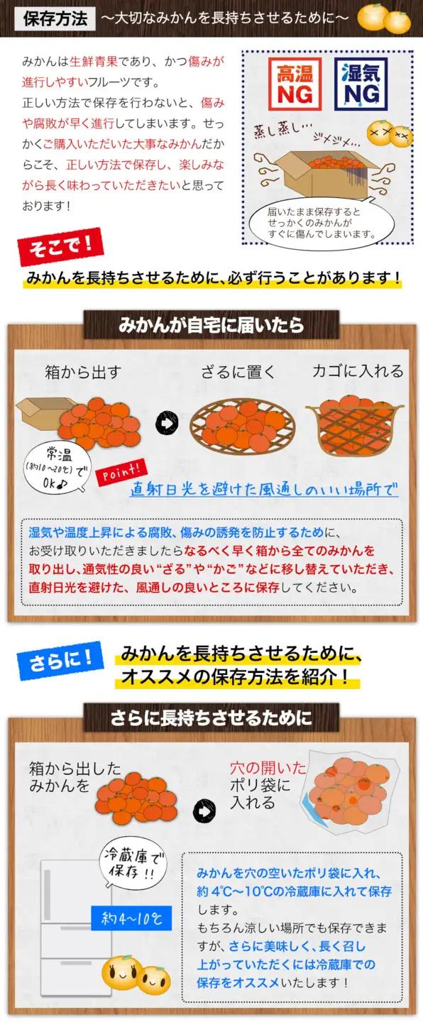 温州みかん 約10㎏ 日本フルーツ株式会社 ミカン