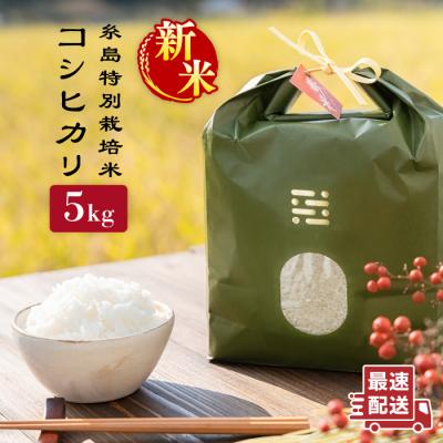 ふるさと納税 糸島市 とくべつ の中のとくべつ 糸島特別栽培米 5kgコシヒカリitoshimacco[ARJ005]