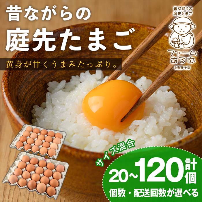 【ふるさと納税】《個数・配送回数が選べる》昔ながらの庭先たまご (20個 / 40個 / 80個 / 40個×3回 計120個・サイズ混合) 卵 玉子 たまご 定期便 平飼い 濃厚 うまみ 卵かけご飯 目玉焼き 卵焼き ごはん おかず 定期便 20個 40個 80個 120個【ファームあるむ】