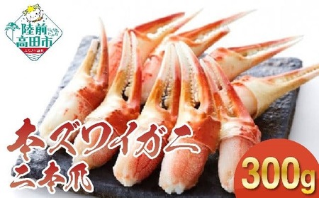 カニ 本ズワイガニ二本爪 300g 【お手軽】 料理 寿司 冷凍 ｽﾞﾜｲｶﾞﾆｽﾞﾜｲｶﾞﾆ