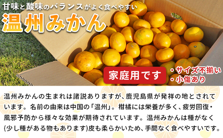 ＜愛媛県西予市産 温州みかん 家庭用 約10kg＞ 果物 くだもの ミカン 蜜柑 柑橘 フルーツ 訳あり ワケアリ 食べて応援 特産品 段畑みかん 愛媛県 西予市【常温】『2025年10月中旬～11月