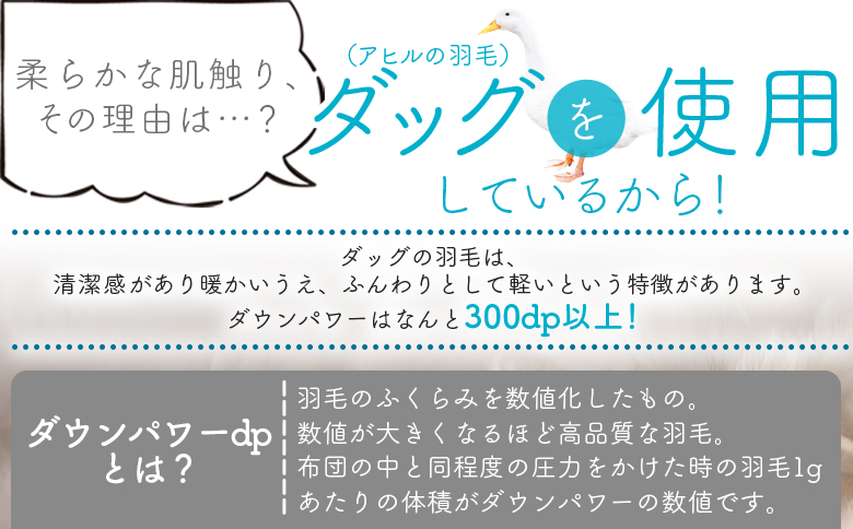 ＜羽毛掛ふとん ホワイトダックダウン85% フェザー15% 充填量 1.0kg ネイビー(無地)＞布団 シングルサイズ ダウン アヒル毛 寝具 新生活 単身者向け【MI752-bs】【株式会社ベストラ