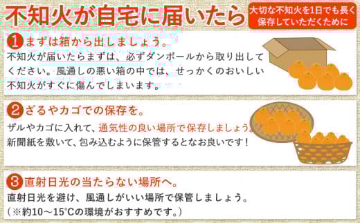 不知火 ( デコポンと同品種 ) しらぬい 約10kg (L～5Lサイズ) どの坂果樹園《2026年2月中旬-4月上旬頃出荷》 和歌山県 日高町 しらぬい 不知火 デコポン でこぽん 旬 果物 フルー