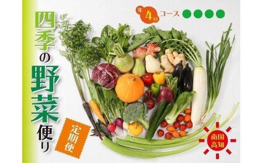 南国高知より 春夏秋冬 四季の野菜便り（年4回コース定期便）　HNT2000