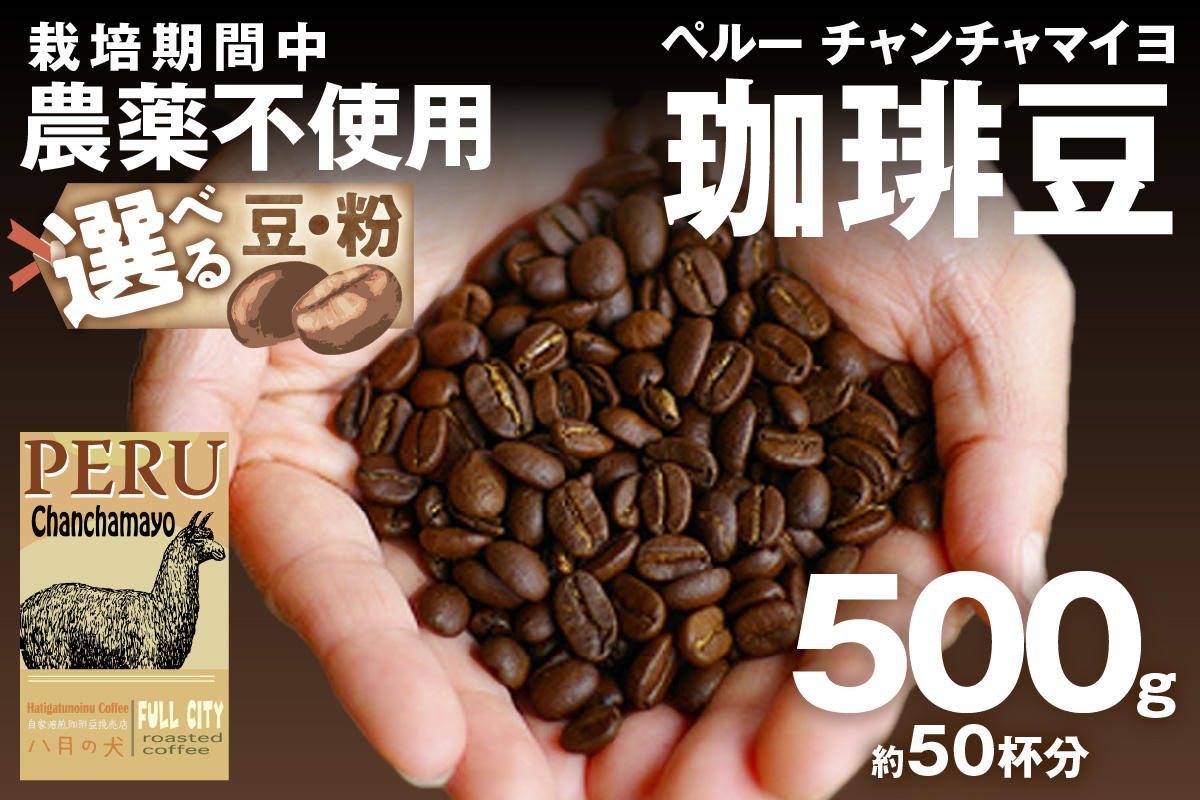【栽培期間中農薬不使用】自家焙煎コーヒー豆 ペルー チャンチャマイヨ 500g（250g×2）　約50杯分　小分け　豆・粉 選べる 飲料 珈琲 こーひー コーヒー coffee　HA00024