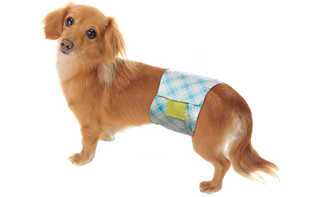 マナーおむつおしっこ用　中型　32枚×6袋　ペット用品 犬用 日本製 雑貨 日用品 防災 防災グッズ 