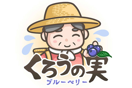 冷凍ブルーベリー(大粒)「くろうの実」 800g×1パック