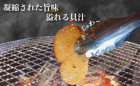 愛知県産平貝(タイラギ)干物　(塩味・醤油味　各1パック)セット冷凍 干物 貝 魚介類 醤油 塩 しお しょうゆ 平貝 タイラギ かい カイ 魚貝 魚介 海鮮 刺身 平貝 タイラギ たいらがい かい 