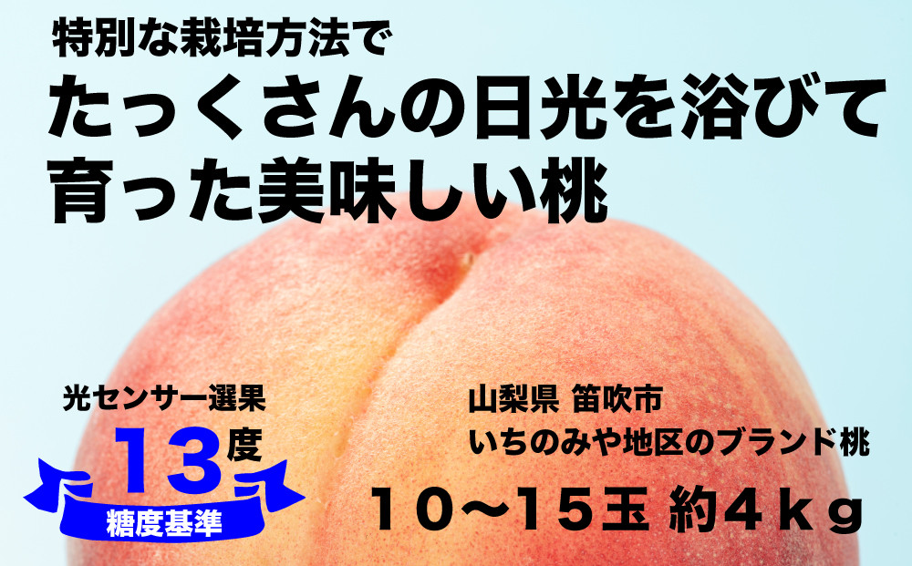 
            【糖度13度基準】いちのみやの桃 10〜15玉 約4kg【2025年発送】＜扇状地・Y字栽培＞肥沃な大地と沢山の日光で育った桃【バイパス清果園】産地直送 山梨県 笛吹市 一宮 果物 フルーツ 新鮮 有機 国産 高級 美味しい 人気 おすすめ 贈答 ギフト  ピーチ もも モモ 数量限定 期間限定 令和7年 先行予約 206-011
          