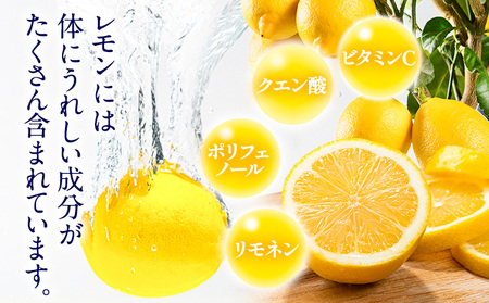レモン 約2kg と 手搾り100％レモン果汁 1本 セット《12月中旬‐2月末頃出荷》 【日付指定不可】 菅本果実園