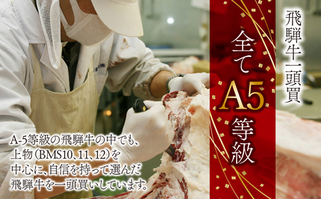 A5飛騨牛　モモサンカクバラ焼肉セット計700ｇ