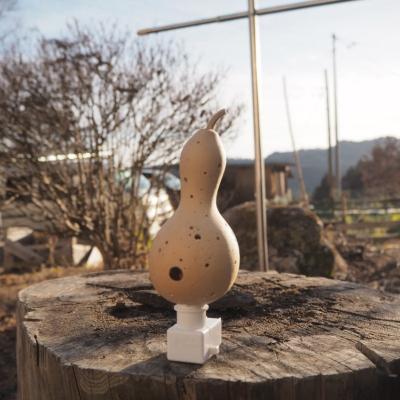 ふるさと納税 小川村 小さな村のひょうたん屋tern tern 天然ひょうたんのLEDフットランプ*460 |  | 02