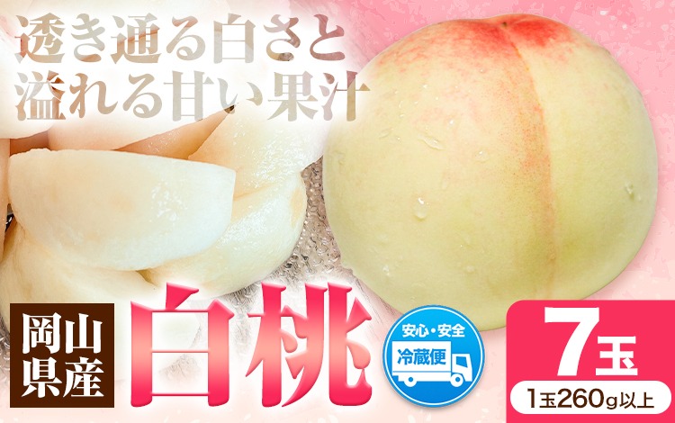先行受付 岡山県産 白桃 1玉 260g以上 7玉入り ロイヤル 《7月中旬-8月下旬頃出荷》 【配送不可地域あり】---H-64---