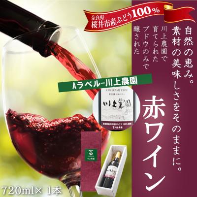 ふるさと納税 桜井市 【Aラベル-川上農園】赤ワイン 720ml 1本 | 