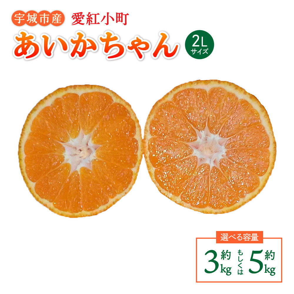 【ふるさと納税】 先行予約 みかん 愛紅小町あいかちゃん 2Lサイズ【選べる内容量】 約3kg もしくは 約5kg 吉田レモニー 【2025年10月上旬頃～2026年1月下旬発送】 温州みかん 柑橘 宇城市産 熊本県産 九州産 国産 送料無料