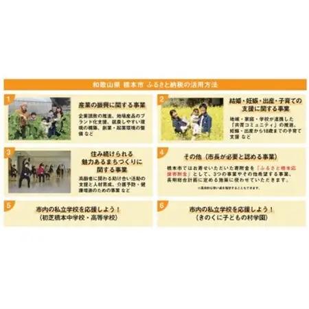 【返礼品なし】和歌山県橋本市への応援寄附金(3,000円分)