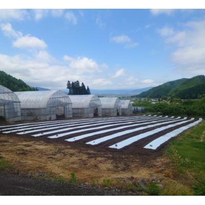 ふるさと納税 高山村 フレッシュハーブの詰め合わせギフト