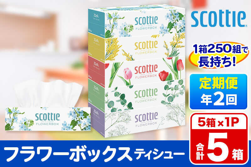 《6ヶ月ごとに2回お届け》定期便 ティッシュペーパー スコッティ ティシュー フラワーボックス 250組 5箱パック×1パック 秋田市オリジナル [ティッシュ ボックスティッシュ]