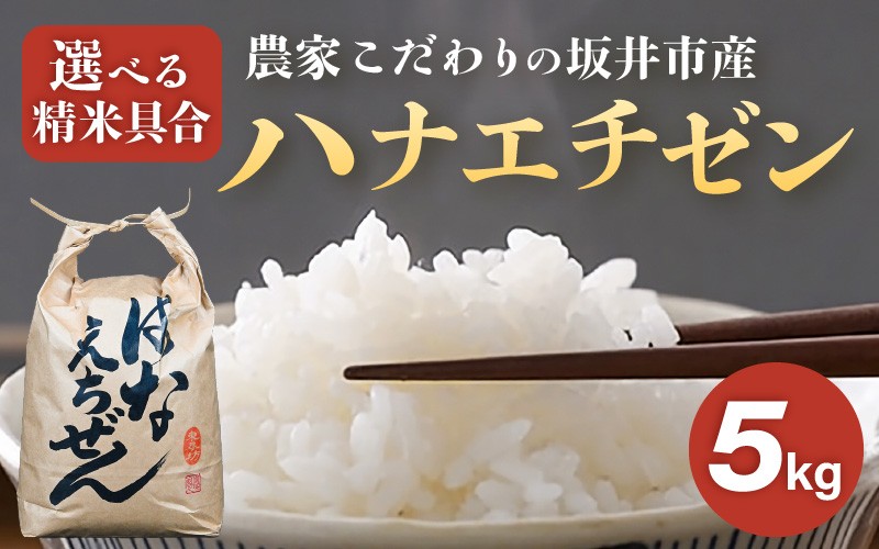 
                  【令和7年産】農家こだわりの坂井市産 ハナエチゼン 5kg 【選べる精米具合：白米 / 玄米】 【米 コメ お米 華越前 5キロ ふるさと納税米 ブランド米 国産】 [A-10212]
                
