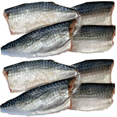 ふるさと納税 由良町 塩さばフィレ8枚入り(真空パック入り) |  | 03