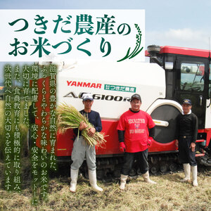 コシヒカリ 10kg こしひかり 令和7年産 精米 つきだ農産