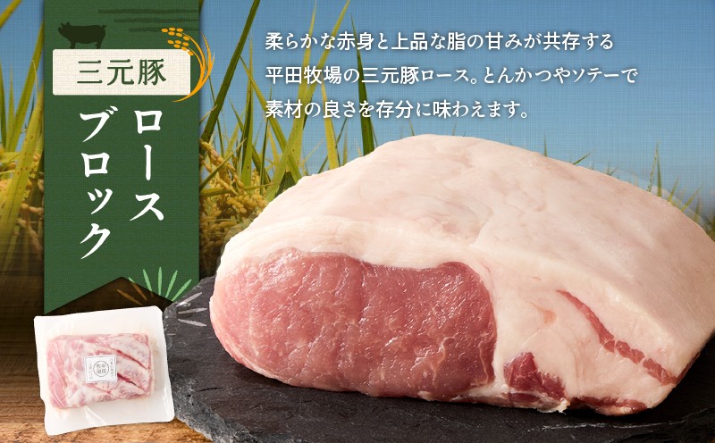 【全12回 毎月定期便】日本の米育ち平田牧場三元豚バラブロック 600g・豚ロースブロック 600g・豚挽肉 300g　T036-T14-03