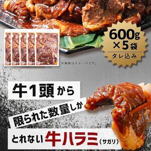 訳あり 厚切り柔らか秘伝の味付き牛ハラミ(サガリ) 3.0kg(600g×5袋※タレ込み) | ハラミ 北海道 牛肉 一人暮らし_01661