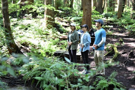 【森林セラピー発祥】信濃町で専門ガイドがご案内 森林セラピー体験チケット（1枚で5名様まで体験可／約3時間コース）